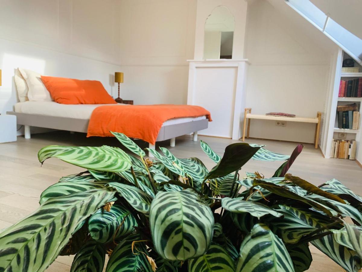 Maison D'Artiste Ghent Luaran gambar
